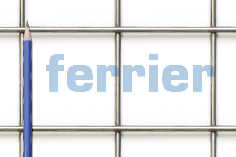 Ferrier SS 2" x 2" x .080 weldmesh