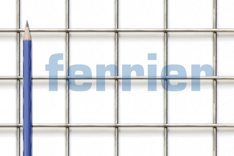 Ferrier SS 1 x 1 mesh x .080 weldmesh